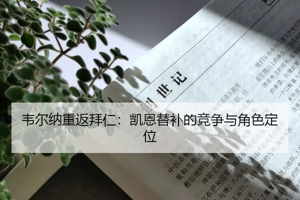 wei-er-na-chong-fan-bai-ren-kai-en-ti-bu-de-jing-zheng-yu-jue-se-ding-wei-3-142.jpg