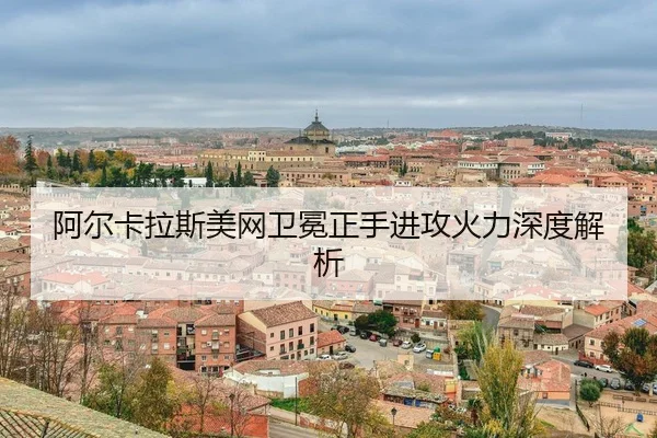 a-er-ka-la-si-mei-wang-wei-mian-zheng-shou-jin-gong-huo-li-shen-du-jie-xi-3-173.jpg
